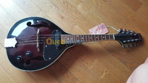 vends mendoline et guitare yamaha