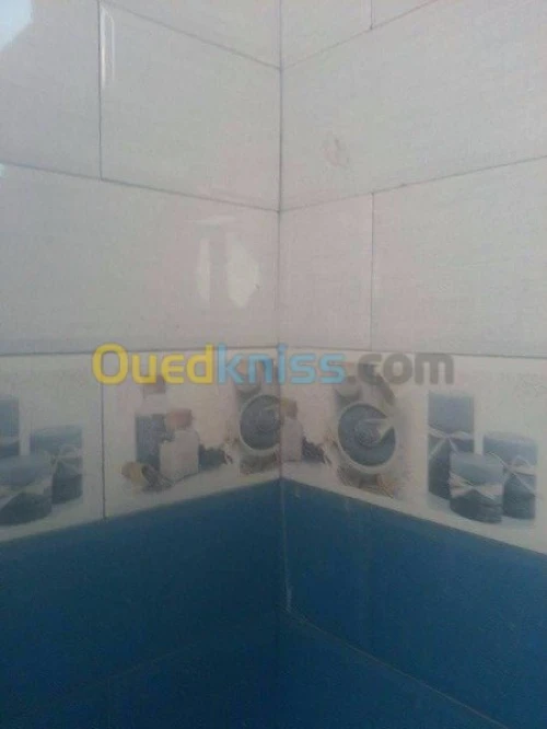 karleur-pvs (plafon plastik)-