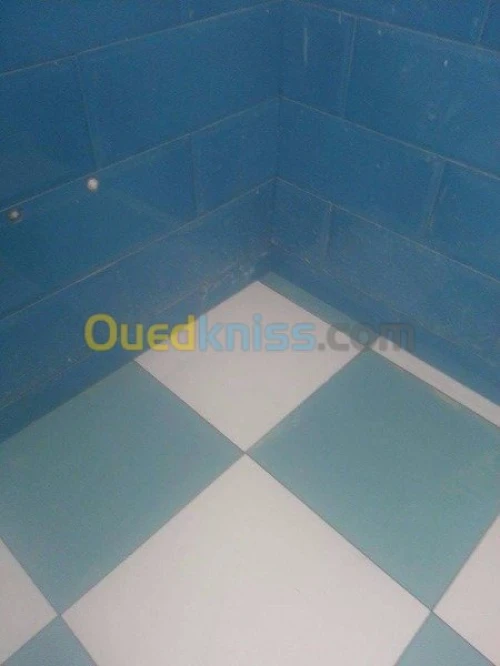 karleur-pvs (plafon plastik)-