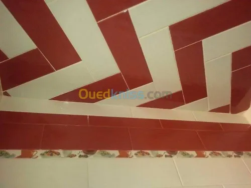 karleur-pvs (plafon plastik)-