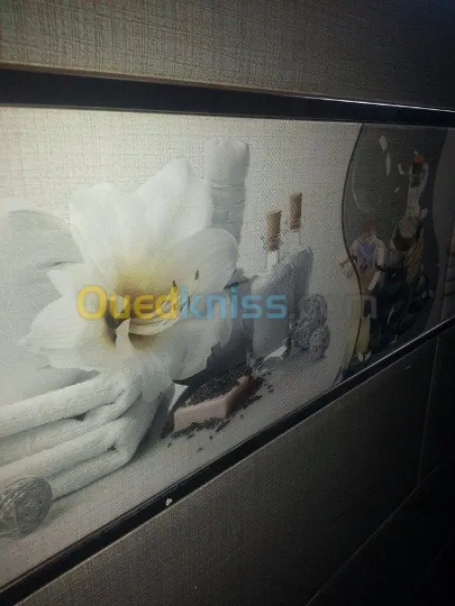 karleur-pvs (plafon plastik)-