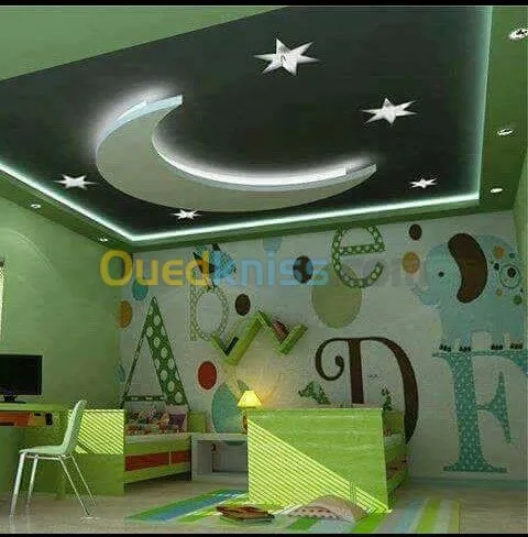 Tout les travaux placoplatre decore