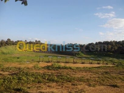 Vente Terrain Ain defla Ben allal