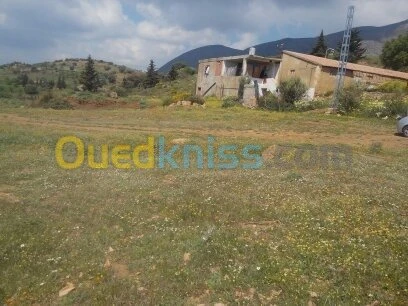 Vente Terrain Ain defla Ben allal