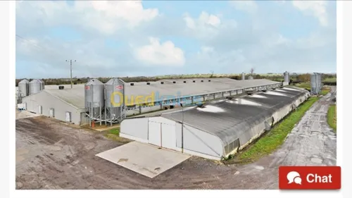 charpent métallique 