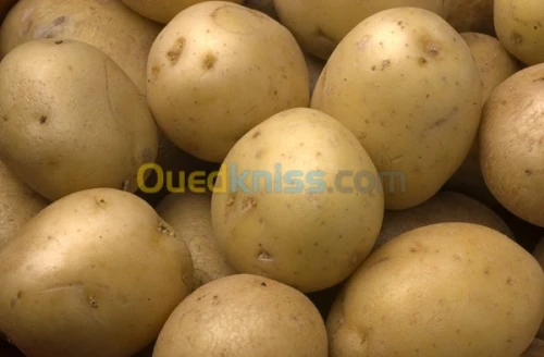 EPLUCHEUSE DE POMME DE TERRE 