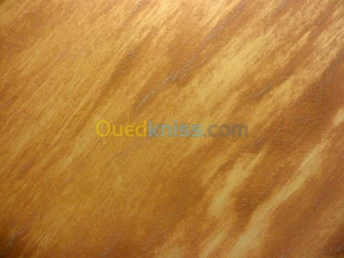 دهان صباغ Peintre