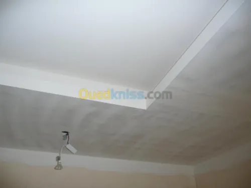 faux plafond à tout type d'imagination