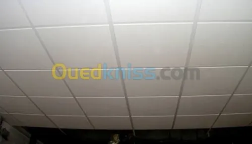 faux plafond à tout type d'imagination