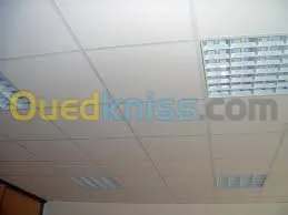 faux plafond à tout type d'imagination