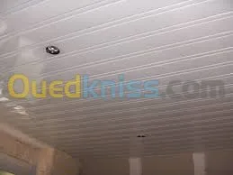 faux plafond à tout type d'imagination