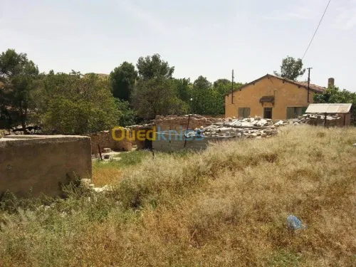 Vente Terrain Tebessa Tebessa