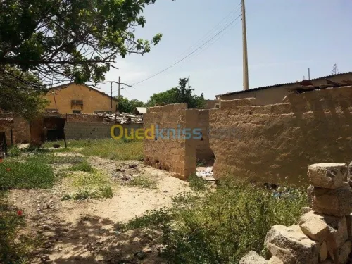 Vente Terrain Tebessa Tebessa
