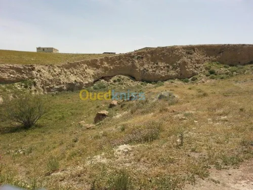 Vente Terrain Tebessa Tebessa