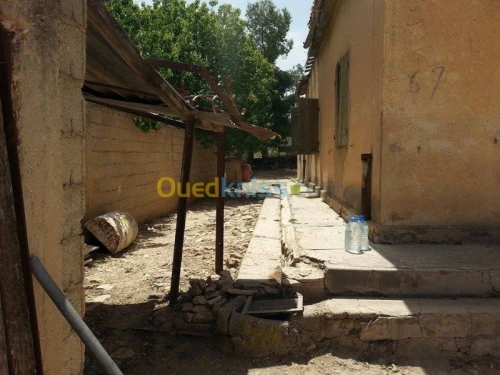 Vente Terrain Tebessa Tebessa