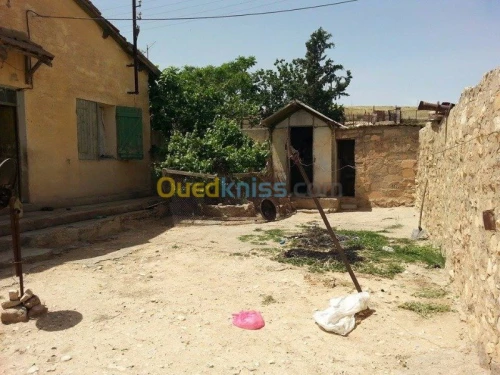 Vente Terrain Tebessa Tebessa