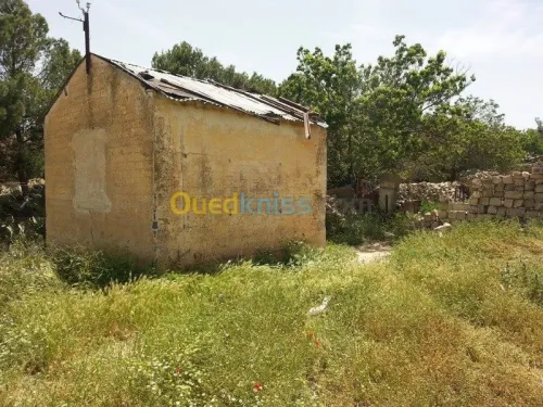 Vente Terrain Tebessa Tebessa