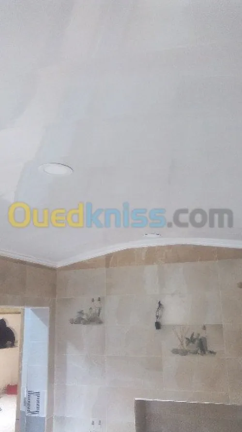 Tout Travaux de Menuiserie Aluminium  