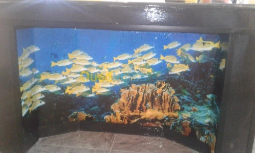 peinture ba13 pvc résine epoxy