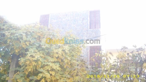 Vente Villa Blida Larbaa