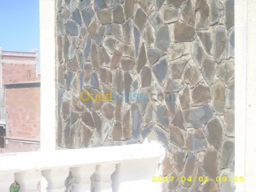 Vente Villa Blida Larbaa
