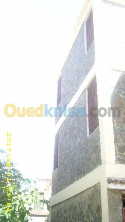 Vente Villa Blida Larbaa