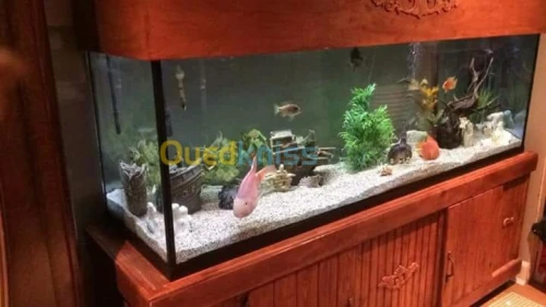 Fabrication aquarium  