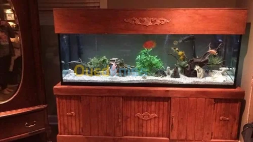 Fabrication aquarium  