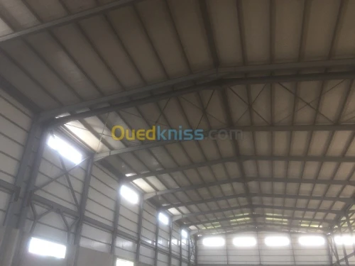 Location Hangar Alger Dar el beida