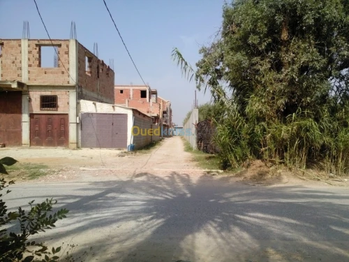 Vente Villa Boumerdes Ouled moussa