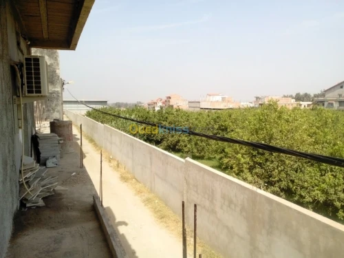 Vente Villa Boumerdes Ouled moussa