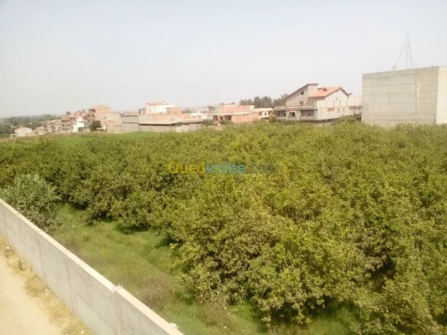 Vente Villa Boumerdes Ouled moussa