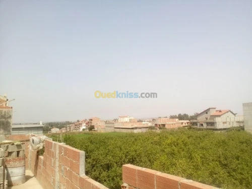 Vente Villa Boumerdes Ouled moussa