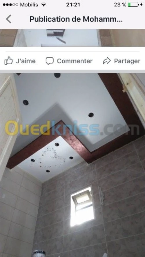 Décoration séparation Placoplatre ba13