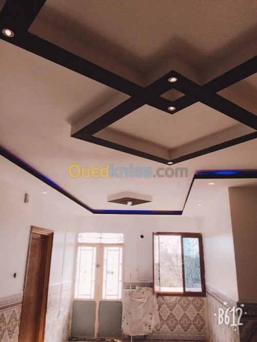 Décoration séparation Placoplatre ba13