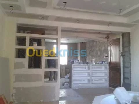 Placoplatre faux plafond BA13