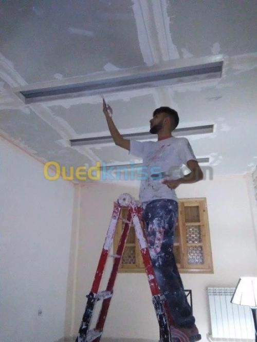 Placoplatre faux plafond BA13