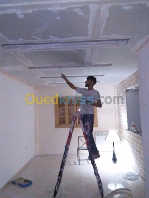 Placoplatre faux plafond BA13