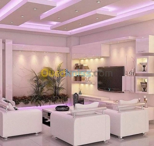 Placoplatre faux plafond BA13