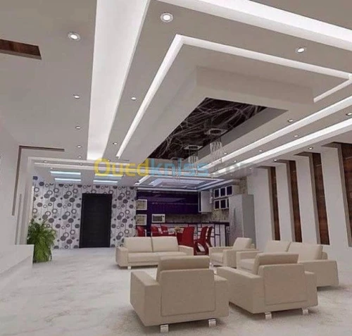 Placoplatre faux plafond BA13