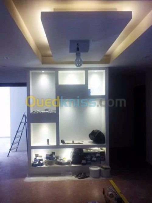 Placoplatre faux plafond BA13