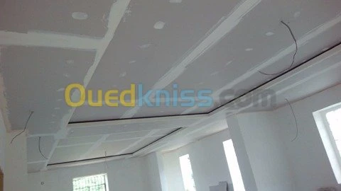 Placoplatre faux plafond BA13