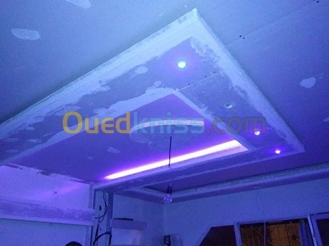 Placoplatre faux plafond BA13