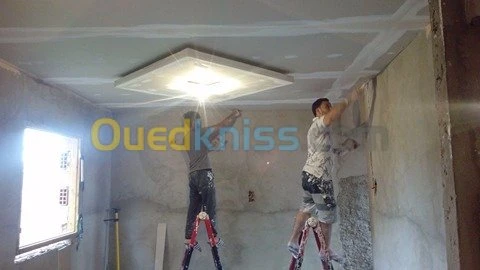 Placoplatre faux plafond BA13