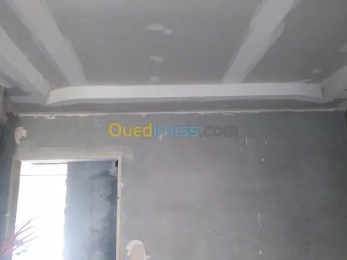 Placoplatre faux plafond BA13