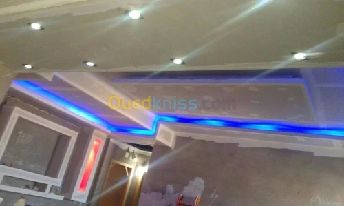 Placoplatre faux plafond BA13