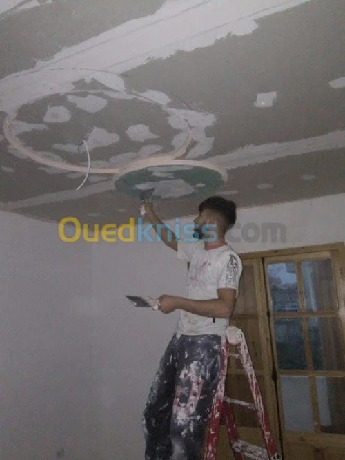 Placoplatre faux plafond BA13