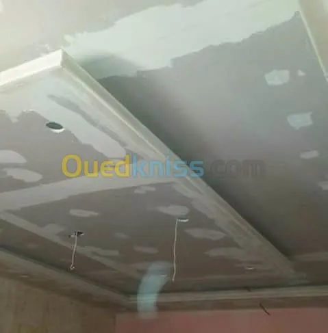 Placoplatre faux plafond BA13