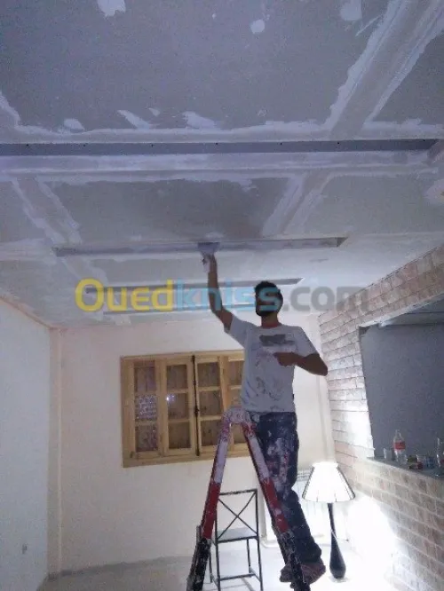 Placoplatre faux plafond BA13