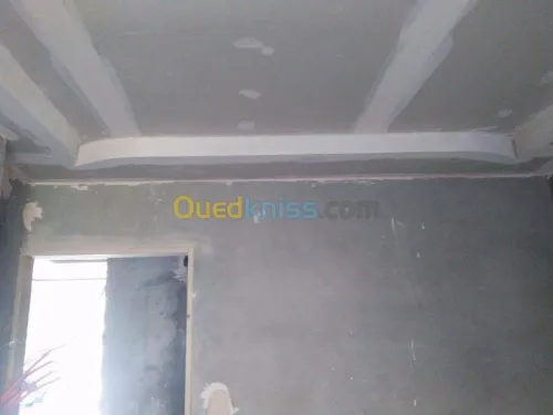 Placoplatre faux plafond BA13